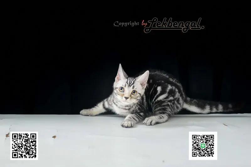 carousel-image-6