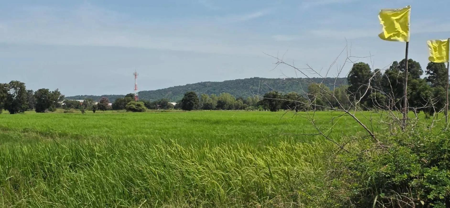 carousel-image-2