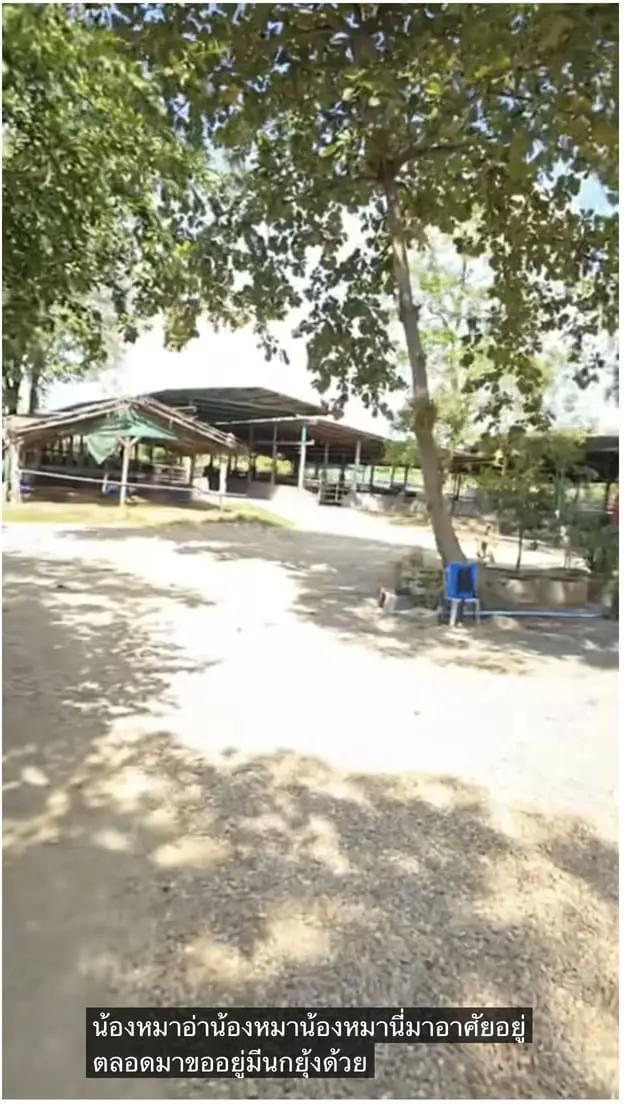 carousel-image-5