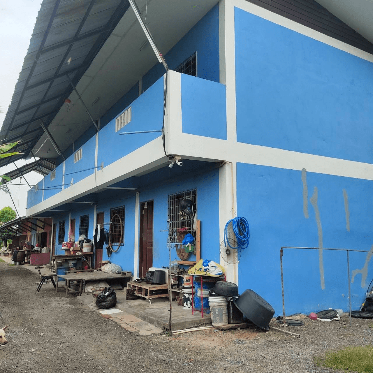 carousel-image-3