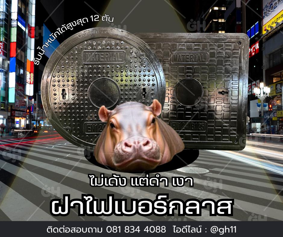 carousel-image-0