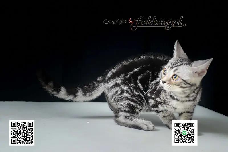 carousel-image-4