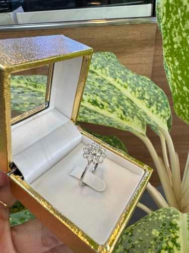carousel-image-5