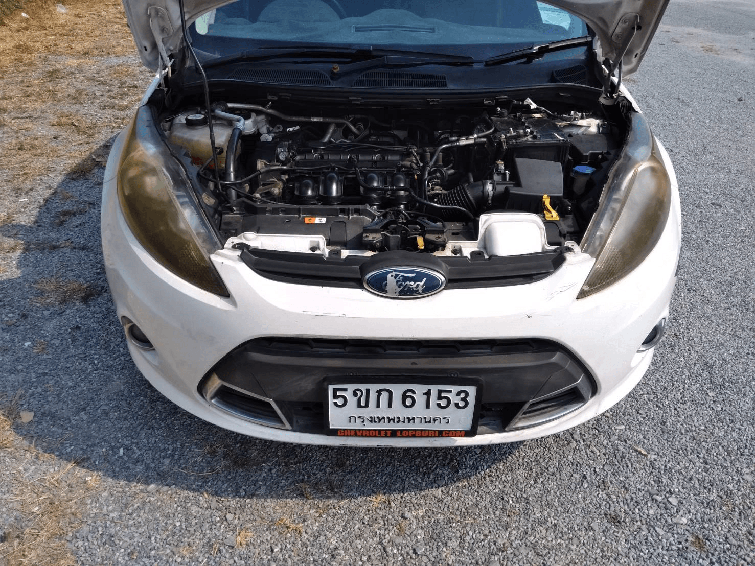 carousel-image-7